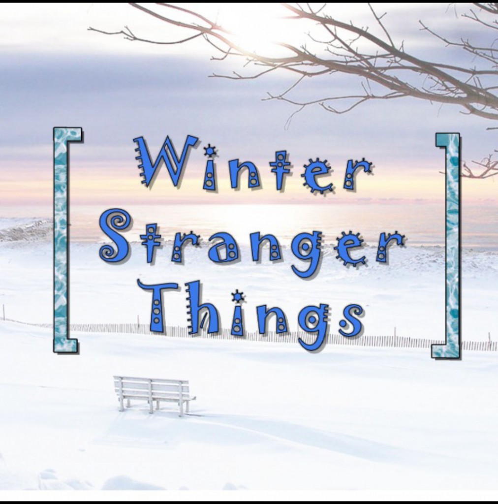 Stranger Things Winter Edition